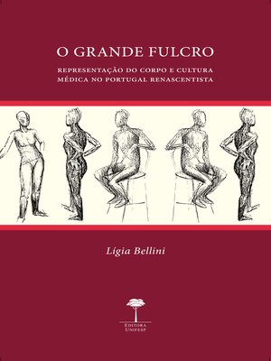 cover image of O Grande Fulcro